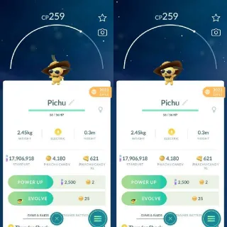Nonshiny Summer Hat Pichu - Pokemon Go