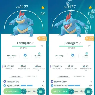 Feraligatr Level 50 XL - Pokemon Go