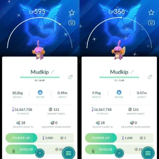 Shiny Mudkip With team Mystic background - Pokemon Go