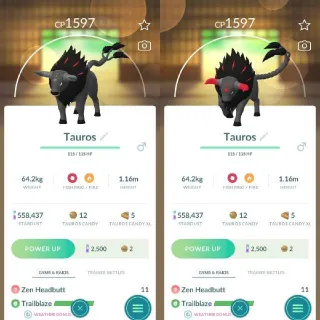 Paldean Tauros - Blaze Pokemon Go