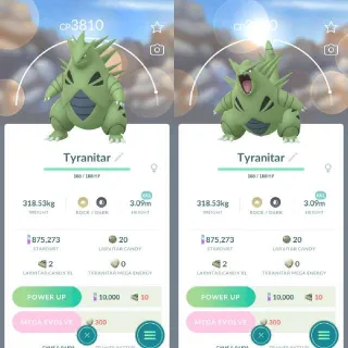 Level 40 XXL Tyranitar Pokemon Go