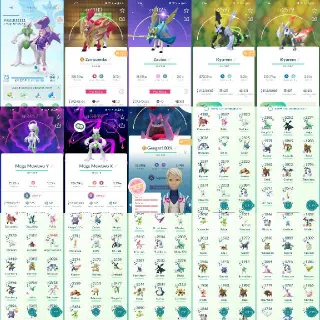 Pokémon Go Account - Level 75 - ✨1142 Shiny 272 Legendary 19M Stardust