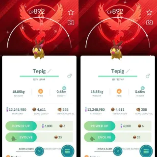 Shiny Tepig With team Valor background - Pokemon Go