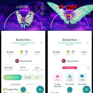Nonshiny Gigantamax Butterfree Background Registered trade 20k Stardust