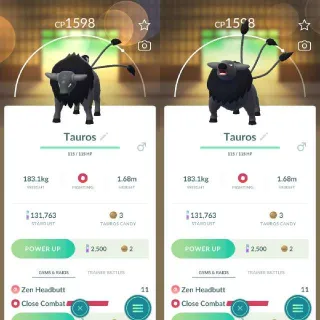 Paldean Tauros - Combat Pokemon Go