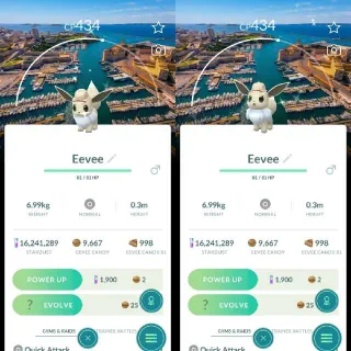 Shiny Eevee wearing an explorer hat marseille background city safari