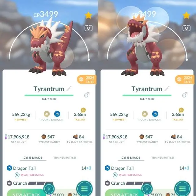 รายการภาพถ่าย