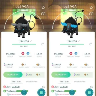 Paldean Tauros - Aqua Pokemon Go