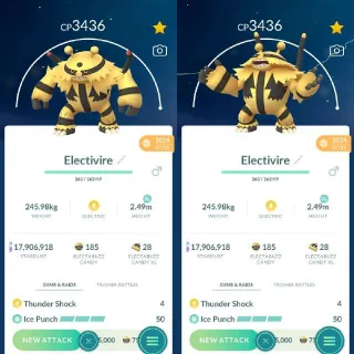 Electivire Level 50 XL - Pokemon Go