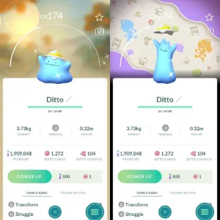 Shiny Ditto Wearing Hat Cap - Background - Registered Trade Only 20k Dust - Pokémon Go