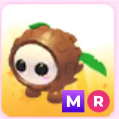 MR COCONUT FRIEND
