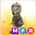 Pet | MFR Skele Rex