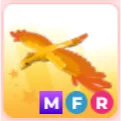 Pet | MFR Phoenix