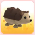 Pet | No Potion Hedgehog
