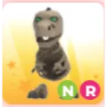 Pet | NR Skele Rex