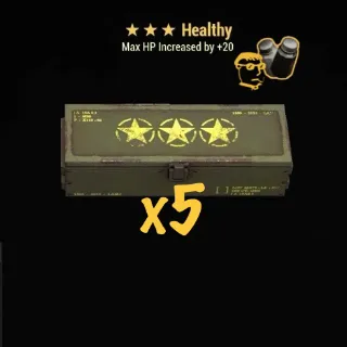 Healthy mod x5