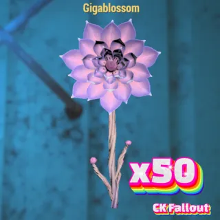 Gigablossom Flowers x50