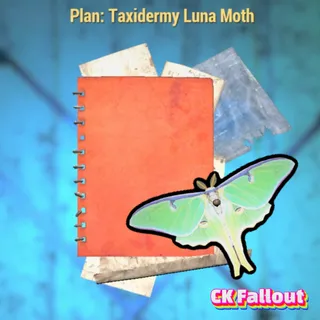 Taxidermy Luna Moth