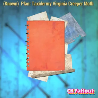 Taxidermy Virginia Creeper Moth