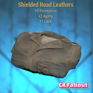 Shielded Road Leathers