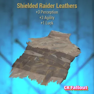 Shielded Raider Leathers