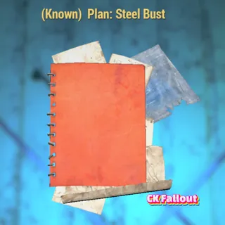 Steel Bust