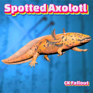 10 Spotted Axolotls
