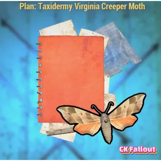 Taxidermy Virginia Creeper Moth