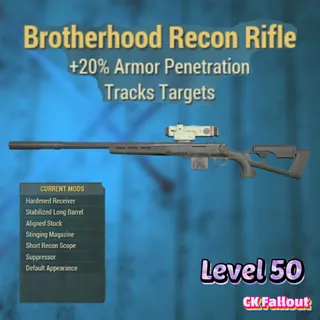 Brotherhood Recon Rifle