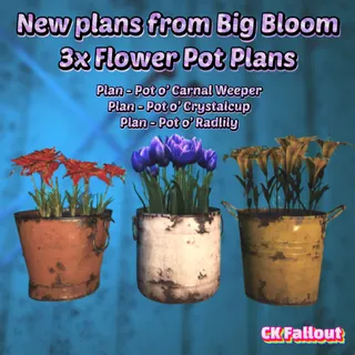 Big Bloom Flower Pots