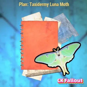 Taxidermy Luna Moth