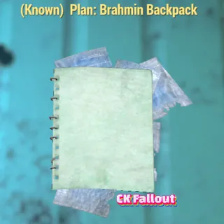 Brahmin Backpack
