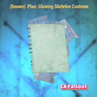 Glowing Skeleton Costume