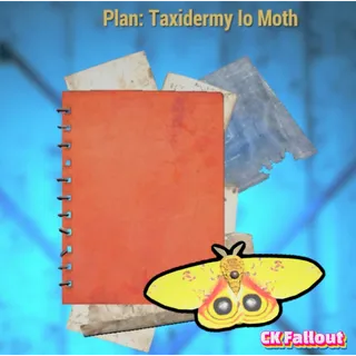 Taxidermy Io Moth