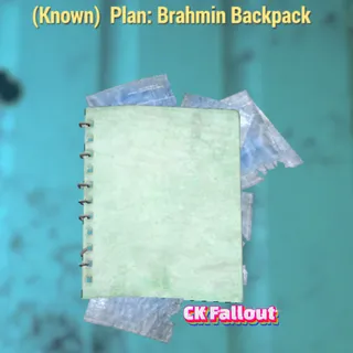 Brahmin Backpack