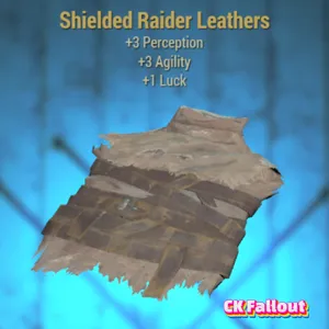 Shielded Raider Leathers