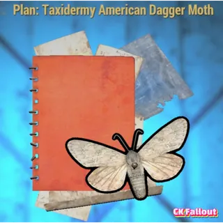 Taxidermy American Dagger Moth