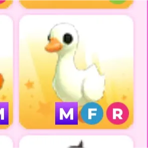 MFR Goose