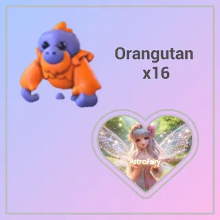 Orangutan x16