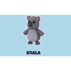 koala neon