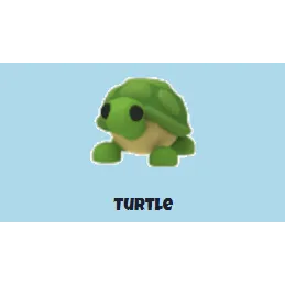 turtle fr