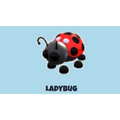 ladybug nr