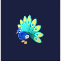Peacock nr