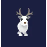 arctic reindeer mfr