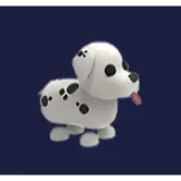 dalmatian r