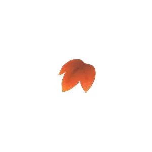 Resource | 400x Maple Leaf