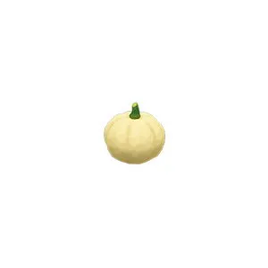 Resource | 400 White Pumpkins