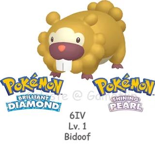 BDSP Bidoof