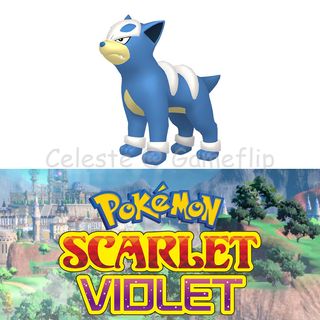 Scarlet Violet Shiny 6IV Houndour