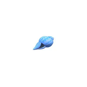 Resource | 200 Summer Shells